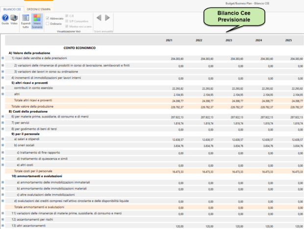 Controllo di Gestione: anticipazioni su Budget e Business Plan: stampa bilancio cee previsionale