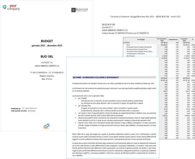 Controllo di Gestione: anticipazioni su Budget e Business Plan: al termine del lavoro si pu&ograve; stampare una relazione completa