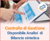 Controllo di Gestione: disponibile Analisi di Bilancio Sintetica